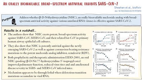 Broad Spectrum Antiviral Inhibits Sars Cov Division Of Immunology