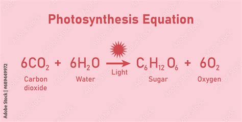 Photosynthesis equation. Carbon dioxide, water, sugars and oxygen ...