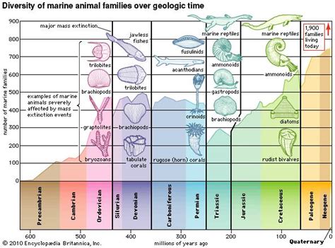 The Earth’s Time Scale And The Five Mass Extinctions Vern Bender