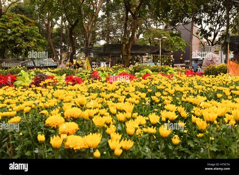 flower festival for Lunar new year decoration in Vietnam with many kind ...