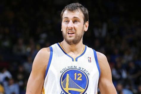 Andrew Bogut Alchetron The Free Social Encyclopedia