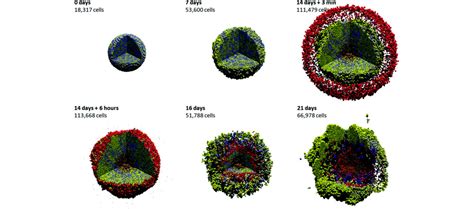 BNL | Computational Science Initiative | Applied Mathematics Group ...