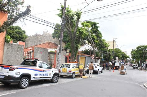 Prefeitura de Poá realiza mutirão do Dia D de poda preventiva de