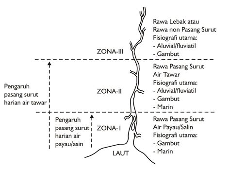 Desain Sistem Tata Air Dan Tata Ruang Mengenal Tipe Lahan Rawa Dan Gambut