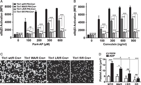 Figure From A Talin Mutant That Impairs Talin Integrin Binding In