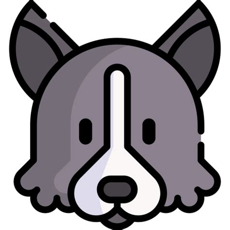 Border Collie Special Lineal Color Icon