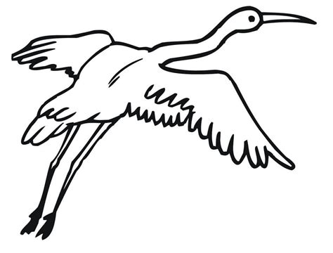 Sandhill Crane And Baby Coloring Page Free Printable Coloring Pages