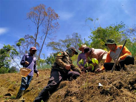 Ayo Adopsi Pohon Untuk Bantu Rehabilitasi Hutan PROFAUNA