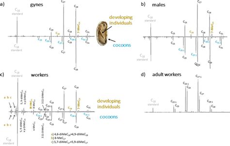 Representative Chromatograms Of Cuticular Hydrocarbons In Gyne Male