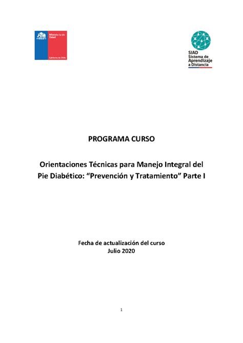 Programa Pie Diabético I PROGRAMA CURSO Orientaciones Técnicas para