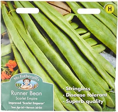 Mr Fothergill S 10649 Vegetable Seeds Runner Bean Scarlet Empire