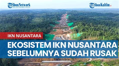 Sebelum Ditetapkan Jadi Ibu Kota Baru Ekosistem Ikn Nusantara Sudah