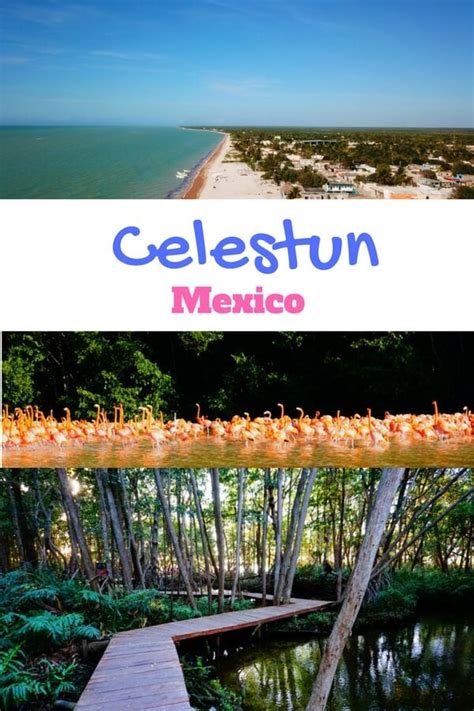 Celestun, Mexico Travel Guide (Beaches + Flamingos + Mangroves!)