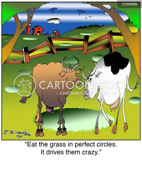 Cartoon Cows Eating Grass