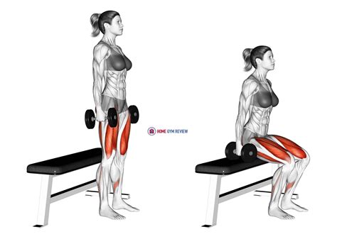 Dumbbell Bench Squat Female Home Gym Review