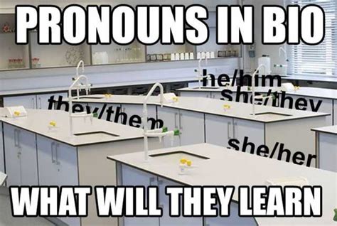 Pronouns In Bio What Will They Learn X In The Y What Will He Do