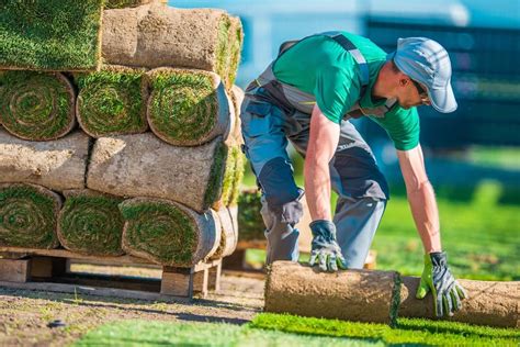 Pourquoi Faire Appel Aux Services Dun Paysagiste Pour Votre Jardin