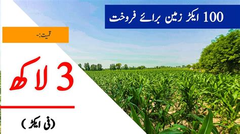 Agriculture Land For Sale In Punjab Pakistan Land For Sale Zari