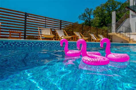 Four PINK FLAMINGs IN A SWIMMING POOL. Exotic, Plastic. Stock Image ...