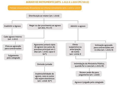 Agravo De Instrumento Estrutura Trilhante