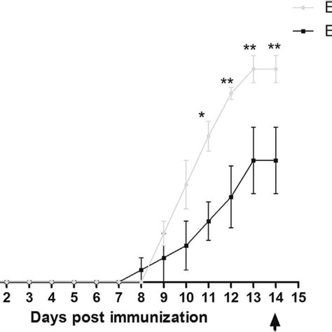 Clinical Score Of C57Bl 6 Mice Immunized With MOG 35 55 Peptide The