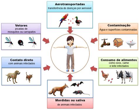 Unesp Para Jovens As zoonoses doenças naturalmente transmitidas de