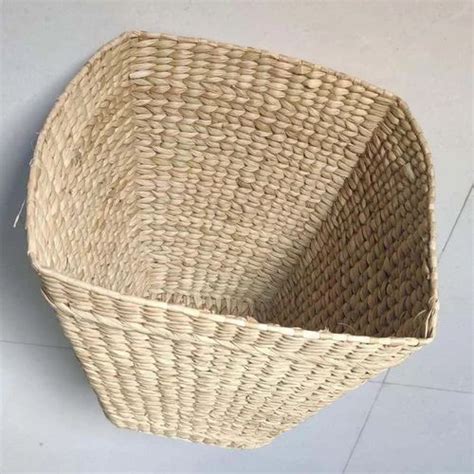 50g Beige Kauna Grass Garden Planter For Planting Size 24inch At