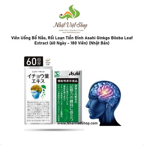 Tpcn Vi N U Ng B N O R I Lo N Ti N Nh Asahi Ginkgo Biloba Leaf