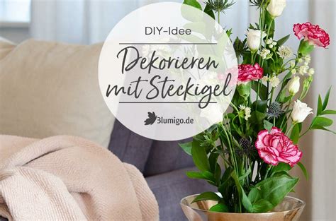 Ranunkel Guide 7 Spannende Fakten Zu Den Beliebten Schnittblumen