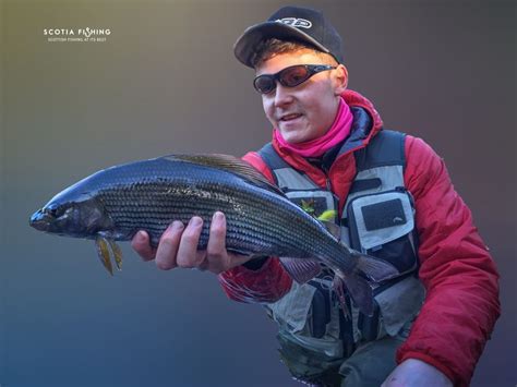 Big grayling caught on the fly! #grayling #scotland #fishing | Fly ...