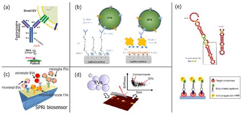 Advances In The Field Of Micro And Nanotechnologies Applied To