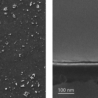 A Top View And B Cross Sectional SEM Image Of A C 18 TAB Templated