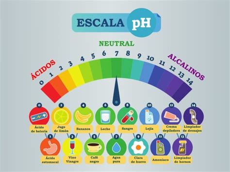 Diferencia Entre ácidos Y Bases Diferenciador