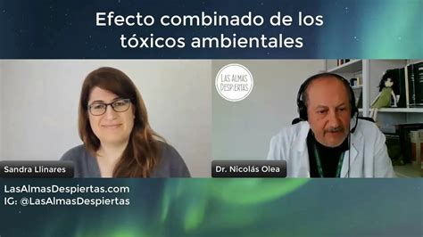 Efecto combinado de los tóxicos ambientales Dr Nicolás Olea