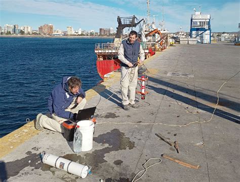 Madryn La temperatura del mar alcanzó su nivel más alto en 17 años