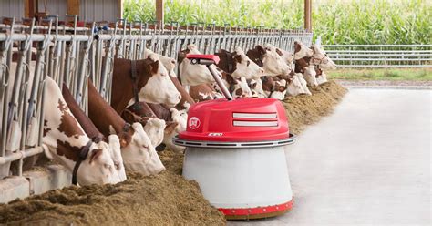 Automatic feed pusher - always fresh feed - Juno - Lely