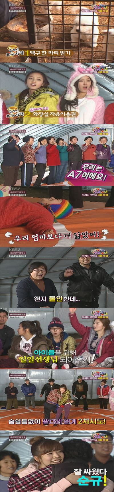 ‘청춘불패 G7 강적 A7 등장에 초긴장유치리 아줌마 김신영과 기싸움 팽팽 손에 잡히는 뉴스 눈에 보이는 뉴스 뉴스엔