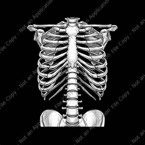 Halloween Skeleton Rib Cage Png, Halloween Skeleton Png, Halloween Png – buydesigntshirt