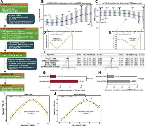 A Modified Algorithm Adjusting Both High And Minor Allele Frequency