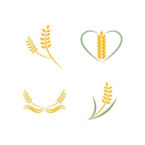 Logotipo De Trigo De Agricultura Vector Premium