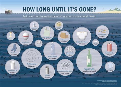 Facts about Ocean Trash - Leave Only Footprints