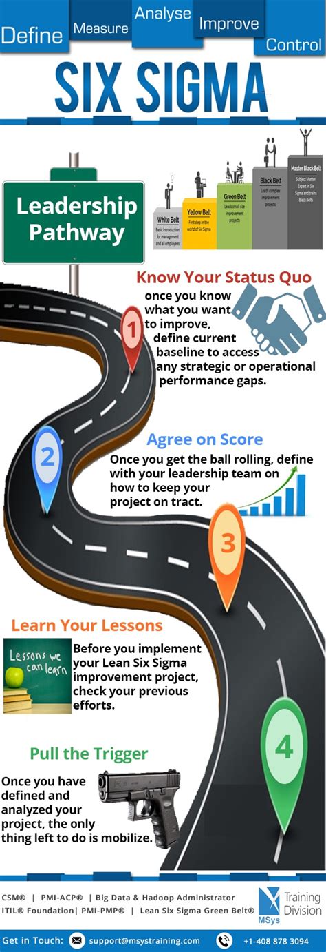 Six Sigma Leadership Pathway Infographic E Learning Infographics