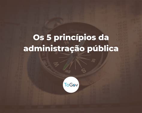 Os princípios da administração pública e sua importância