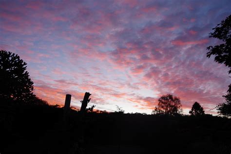 Birds of the Heath: Astonishing sunrise in East Norfolk