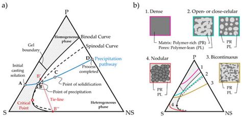 Polymers Free Full Text Thermodynamic Modeling And Validation Of