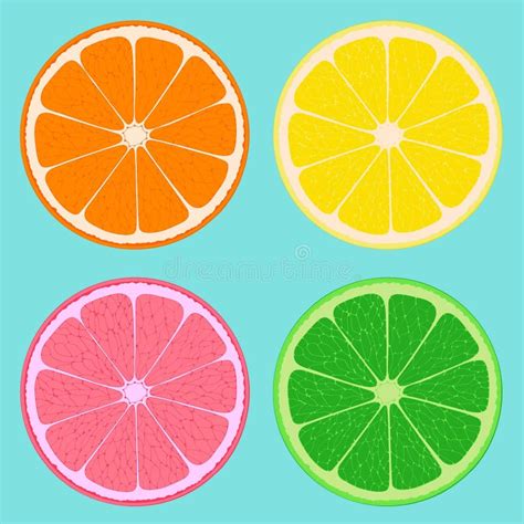 Cut Orange Fruit Wheel Stock Illustrations 50 Cut Orange Fruit Wheel