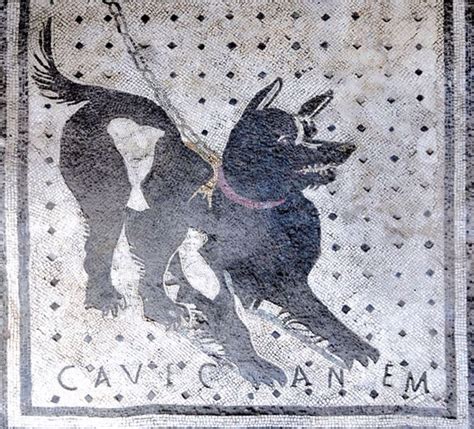 Il Famoso Mosaico Cave Canem Nella Casa Del Poeta Tragico A Pompei