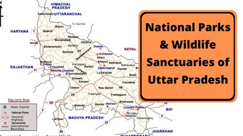 Complete List Of National Parks Wildlife Sanctuaries Of Uttar Pradesh