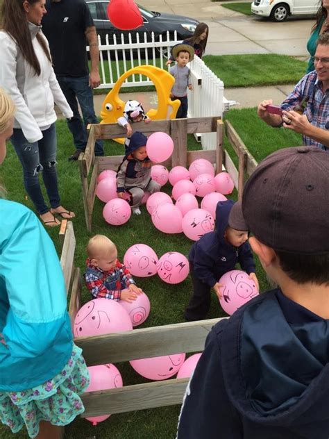 Petting Zoo Birthday Party Near Me - Pets Cat and Dog