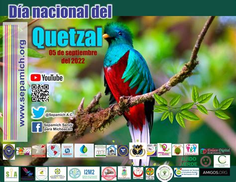 DÍA NACIONAL DEL QUETZAL Sepamich